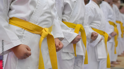 Young martial arts students in white karate uniforms and yellow belts standing together in formation during a training session, representing discipline, teamwork, physical fitness, confidence, and you