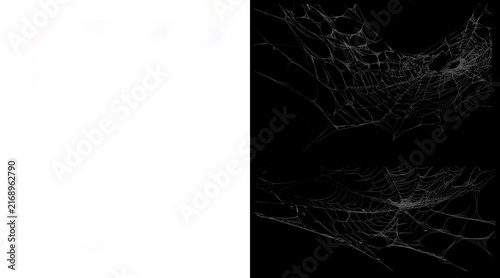 Obraz na plátně Spooky spider web collection on black background, realistic cobweb set for Hallo