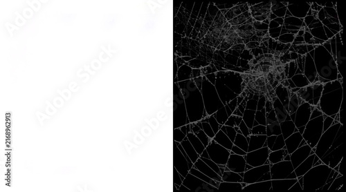 Foto Intricate spider web illustration on black background, spooky cobweb texture for