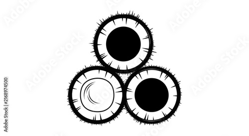 Vector illustration of three coconut halves arranged in a triangular cluster on a transparent background