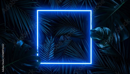 Glowing blue square neon light frame surrounded by tropical monstera and palm leaves on a dark background