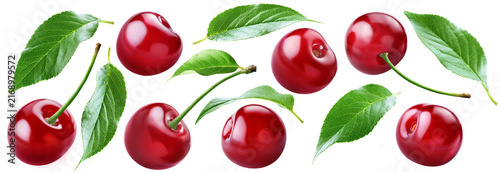 Cuadro en lienzo Collection of whole red cherries with assorted cherry leaves of different shapes isolated on transparent background