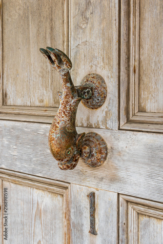 Fotografie Vintage brass dolphin door knocker on rustic wooden door.