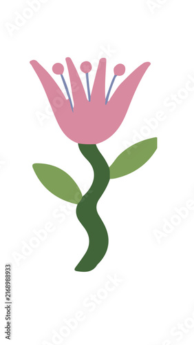 flores diseño