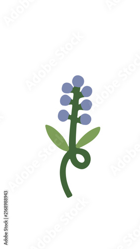 flores diseño