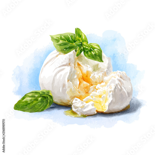 фотографія Burrata watercolor vector, hand-painted style, high-quality illustration isolated on white background