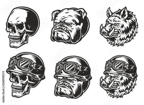 vector illustration