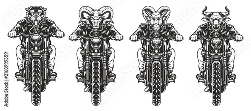 vector illustration