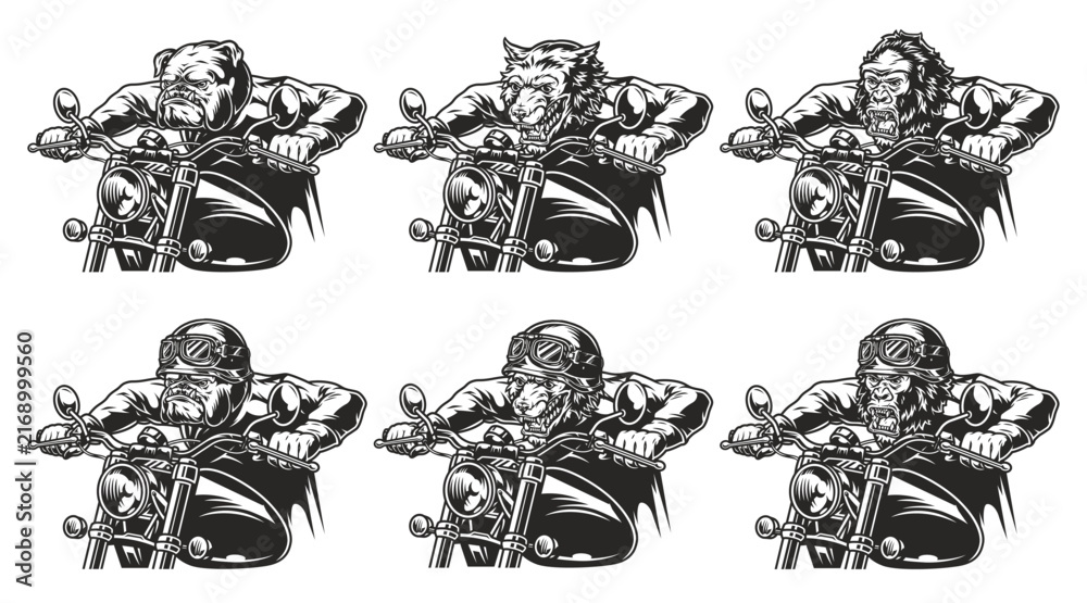 Naklejka premium vector illustration