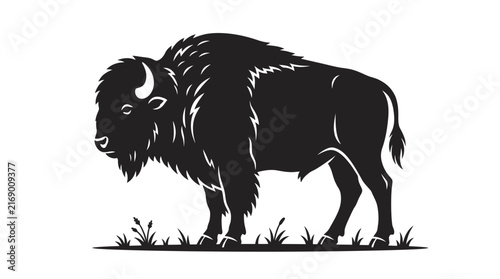 Majestic bison silhouette standing in grassy field
