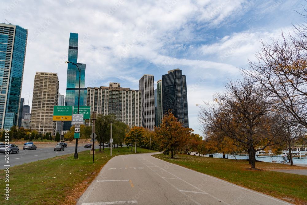 Fototapeta premium Fall nature landscape. Autumn nature in city grand park. Seasonal fall landscape. Park autumn tree and promenade. Scenic fall. Grans park in autumn. Autumn promenade path with skyscraper