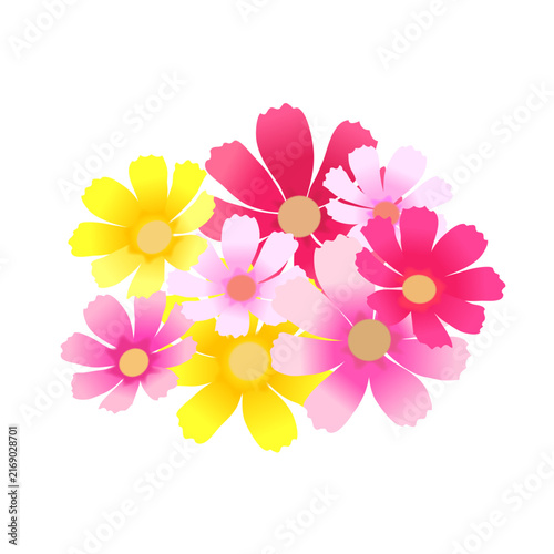カラフルなコスモスの花のイラスト