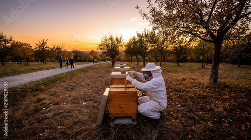 Beekeeper in protective suit tending hives at sunset.