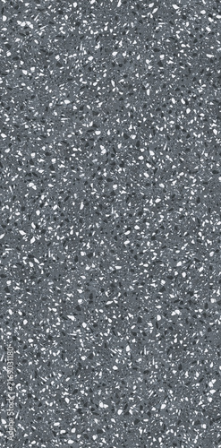 Light Gray Terrazzo Texture, Modern Natural Stone Surface for Interior Design