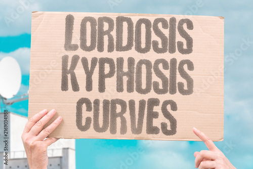 Cuadro en lienzo "Lordosis kyphosis curves" Alternating arches form spinal shape