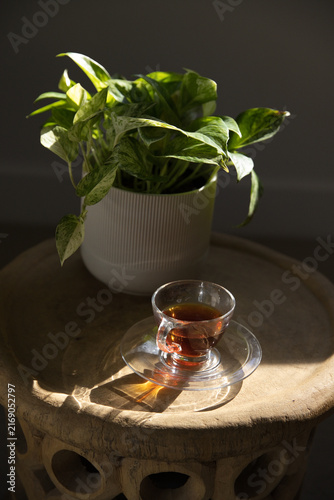 Variegated houseplant and glass teacup are catching warm sunlight on wooden stool, casting shadows