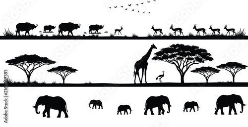 Photography African safari landscape silhouettes, wildlife panorama collection, savanna anim