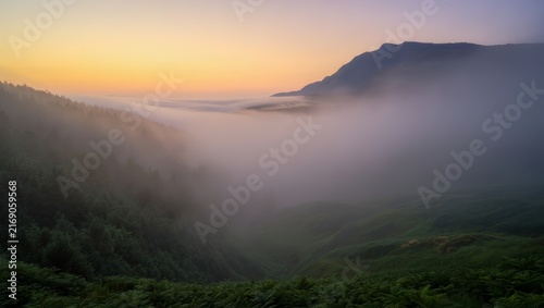 Misty Mountain Sunrise Over Forested Valley