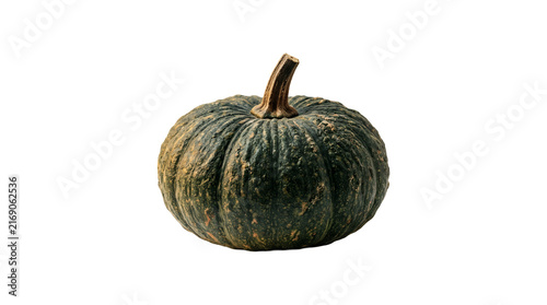 Fresh ripe green pumpkin isolated on white background.