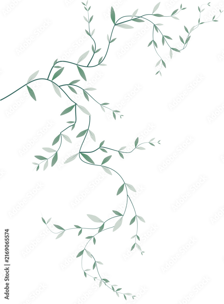Obraz premium Elegant Hand Drawn Botanical Leaves and Foliage Collection with Natural Plant Elements for Wedding Invitation, Branding, Packaging and Creative Design
