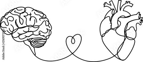 A creative single line drawing showing the connection between the human brain and the heart with a heart symbol in the middle, symbolizing logic and emotion.