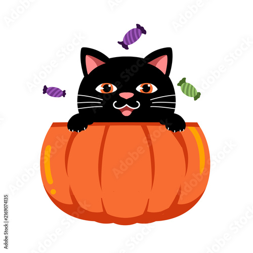 фотографія Cute Halloween Kitten In Pumpkin