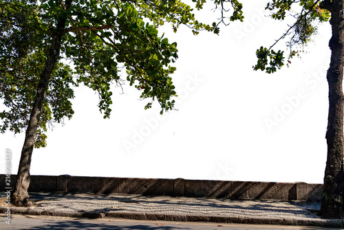 Almond tree with a green canopy and striking trunks, next to a Portuguese stone pavement. Isolated PNG. Ideal for landscaping, architecture, urban planning, nature, and environmental projects.