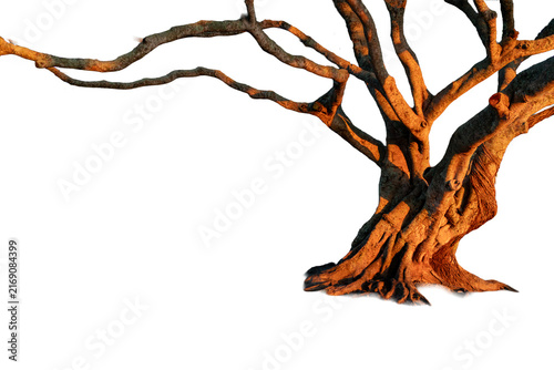 Large tropical tree with a twisted trunk, spreading branches, and exposed roots bathed in warm sunlight. Isolated PNG. Ideal for landscaping, architecture, gardens, set design, and 3D renderings.