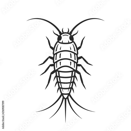 Stylized Insect Icon Isolated on White Background