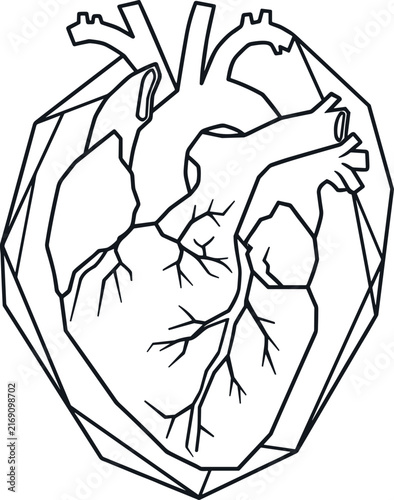 Foto Anatomical human heart thin line icon encased in a minimalist geometric low poly