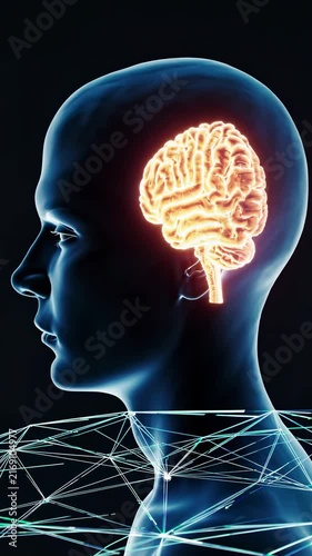 Futuristic video concept of a glowing brain in profile view, highlighting neural networks. Live mobile wallpaper.