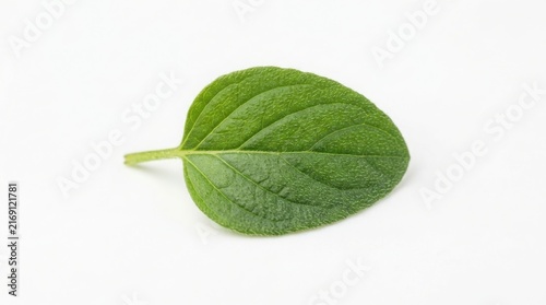 Isolated single fresh green oregano leaf viewed from top down on a white surface with culinary herb seasoning ingredient aromatic isolated background nutrition mediterranean perennial