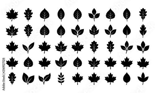 Set of black silhouette icons featuring various shapes of autumn leaves isolated on a plain white background