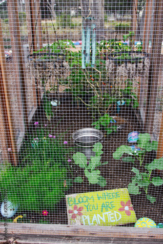 Obraz na plátně Fenced In Flower Bed With Green Plants