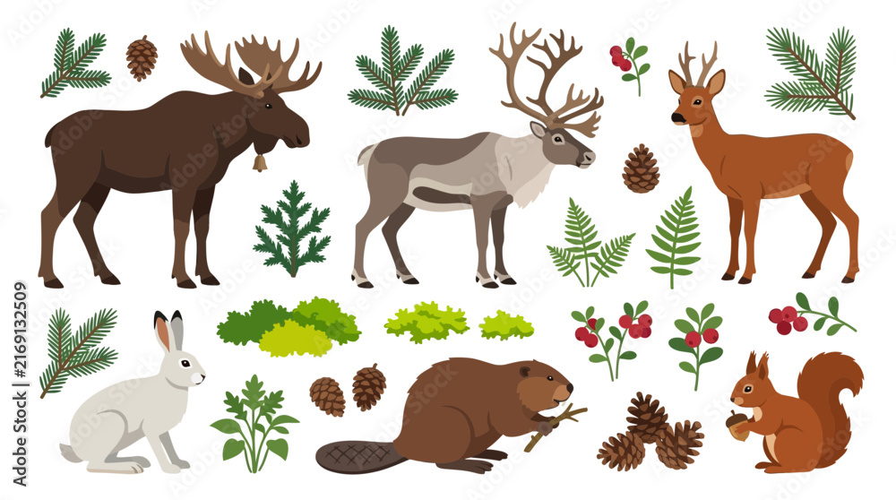 Obraz premium Forest Wild Animals and Northern Woodland Flora Vector Set