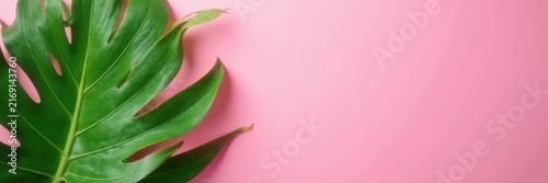 Vibrant green tropical leaf on pink Summer vibe Flat lay , pink backdrop, leaves, design