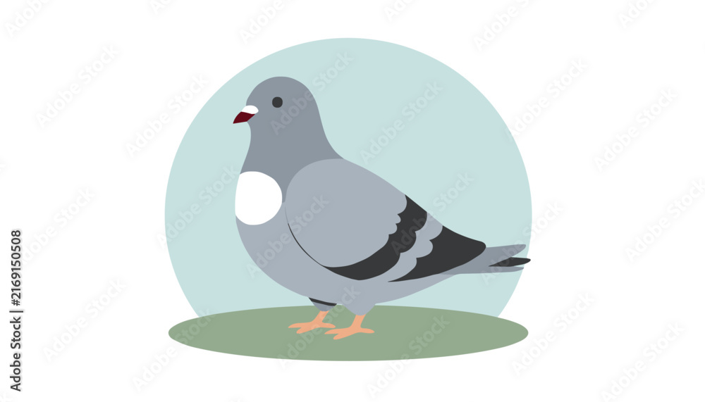 Obraz premium Simple side view illustration of a grey pigeon with a white chest standing on green grass against a blue circle.