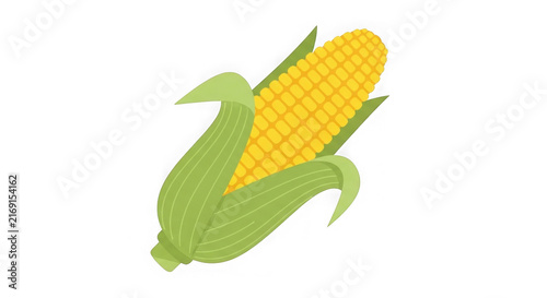 Fresh yellow corn cob with green husks isolated on white background for food design.