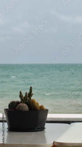 Sticker Small potted succulent by the window overlooking calm sea