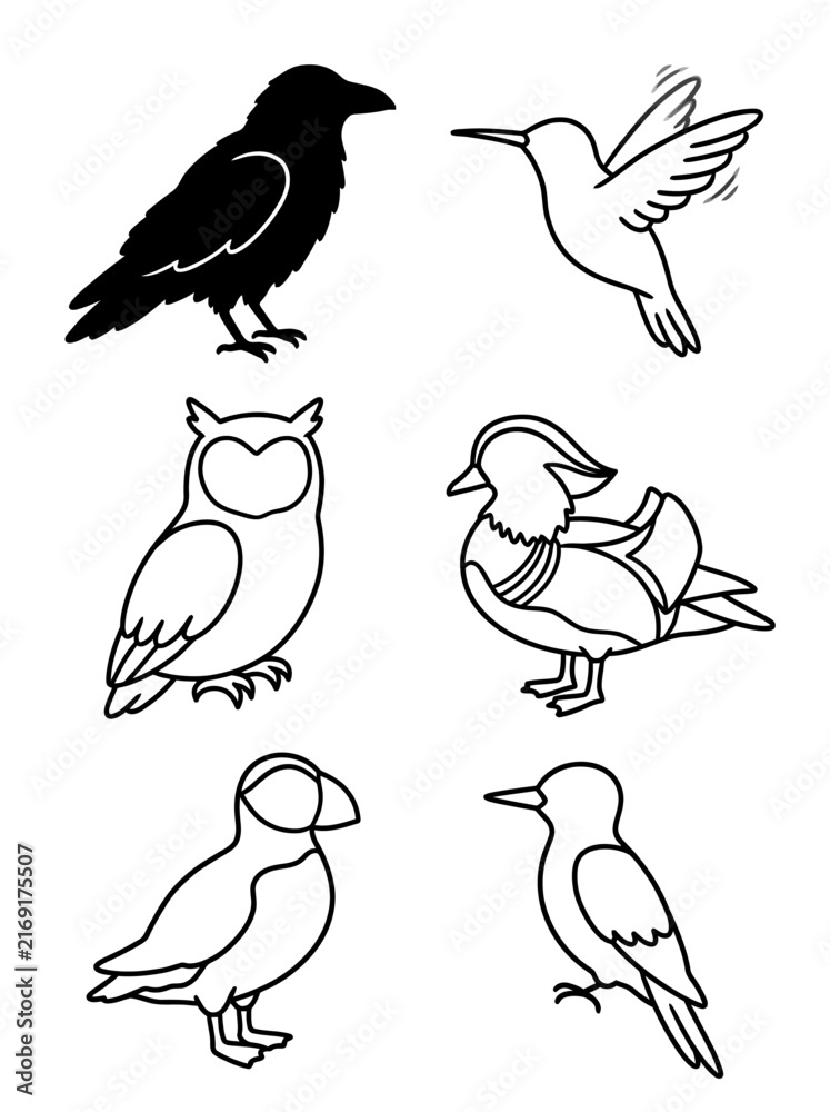 Naklejka premium Diverse collection of bird illustrations featuring outlined silhouettes of a raven owl hummingbird mandarin duck puffin and small wild songbird
