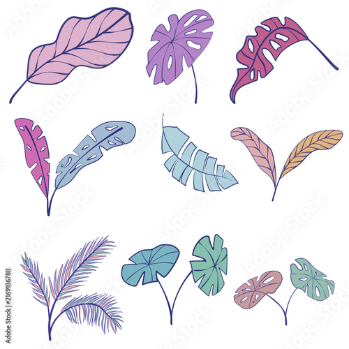 Tropical Palm Leaves Vector Collection Colorful Hand Drawn Botanical Line Art Clipart