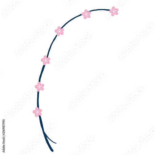 Minimal flat long cascading pink blossom branch illustration, arching flower branch clipart top view, botanical flower icon isolated on white background