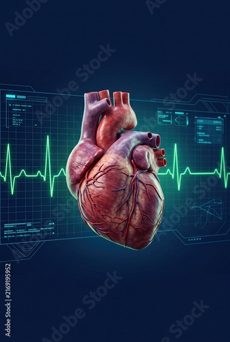 Anatomical Human Heart with Digital ECG Monitor Background