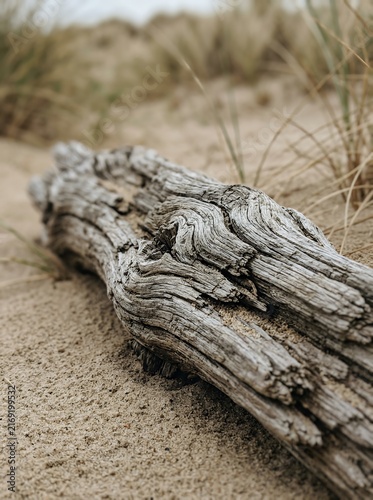 Weathered driftwood log resting on sandy beach with dry grass.