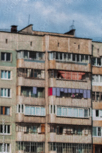 The view from her room through the mosquito net on a summer day