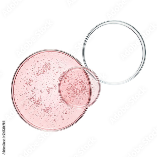 Two Petri Dishes with Pink Bubbling Liquid and Metal Loop, Isolated
