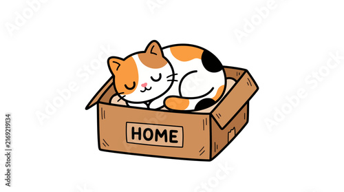 Cute Calico Cat Sleeping Peacefully Inside a Brown Cardboard Box Labeled Home for Pet Adoption or Cozy Domestic Animal Theme Illustration