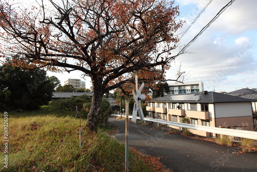 道端の風車と紅葉　