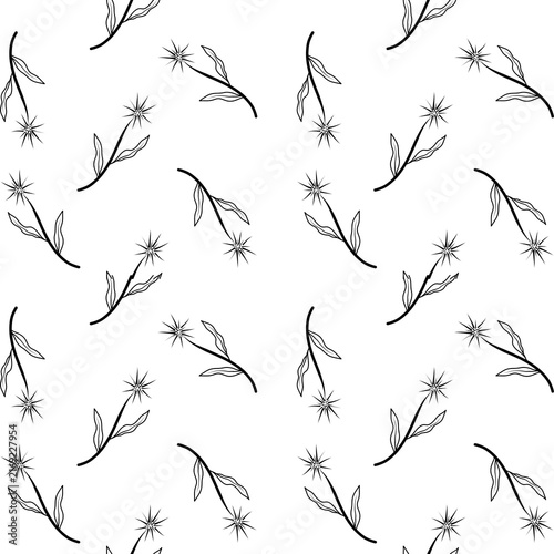 Minimalist hand drawn botanical seamless pattern featuring black line art flower stems and star motifs on white background