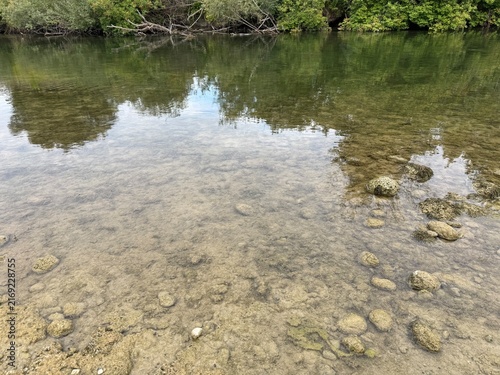 Принти на полотні river in the forest